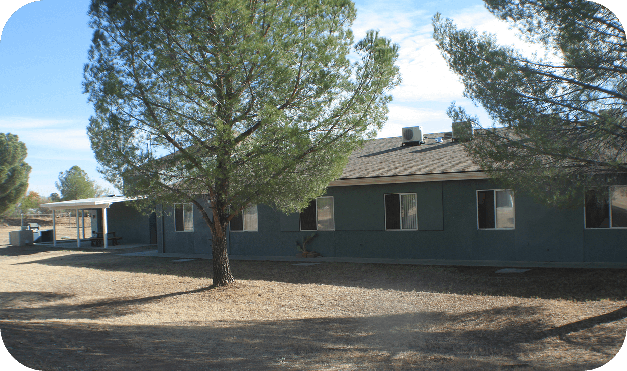 Exterior of a blue apartment complex building near a tall green tree