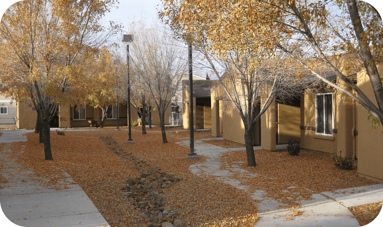 Single family homes surrounded by fall leaves